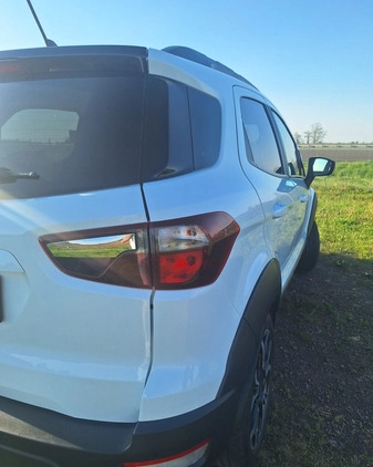 Ford EcoSport cena 72500 przebieg: 53150, rok produkcji 2020 z Września małe 631